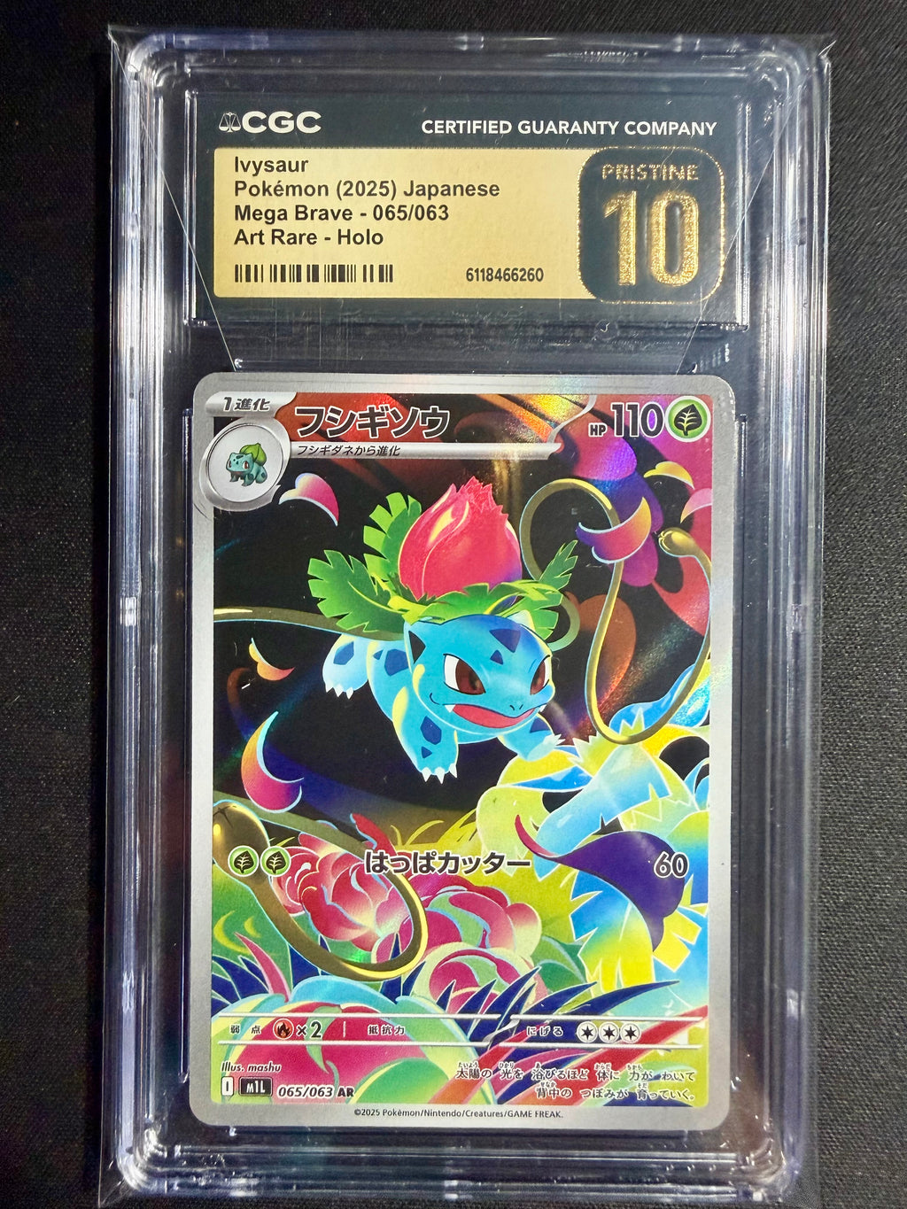 Ivysaur (JP) CGC P 10