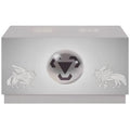 Pokémon TCG Radiant Energy Metal Gift Box Simplified Chinese