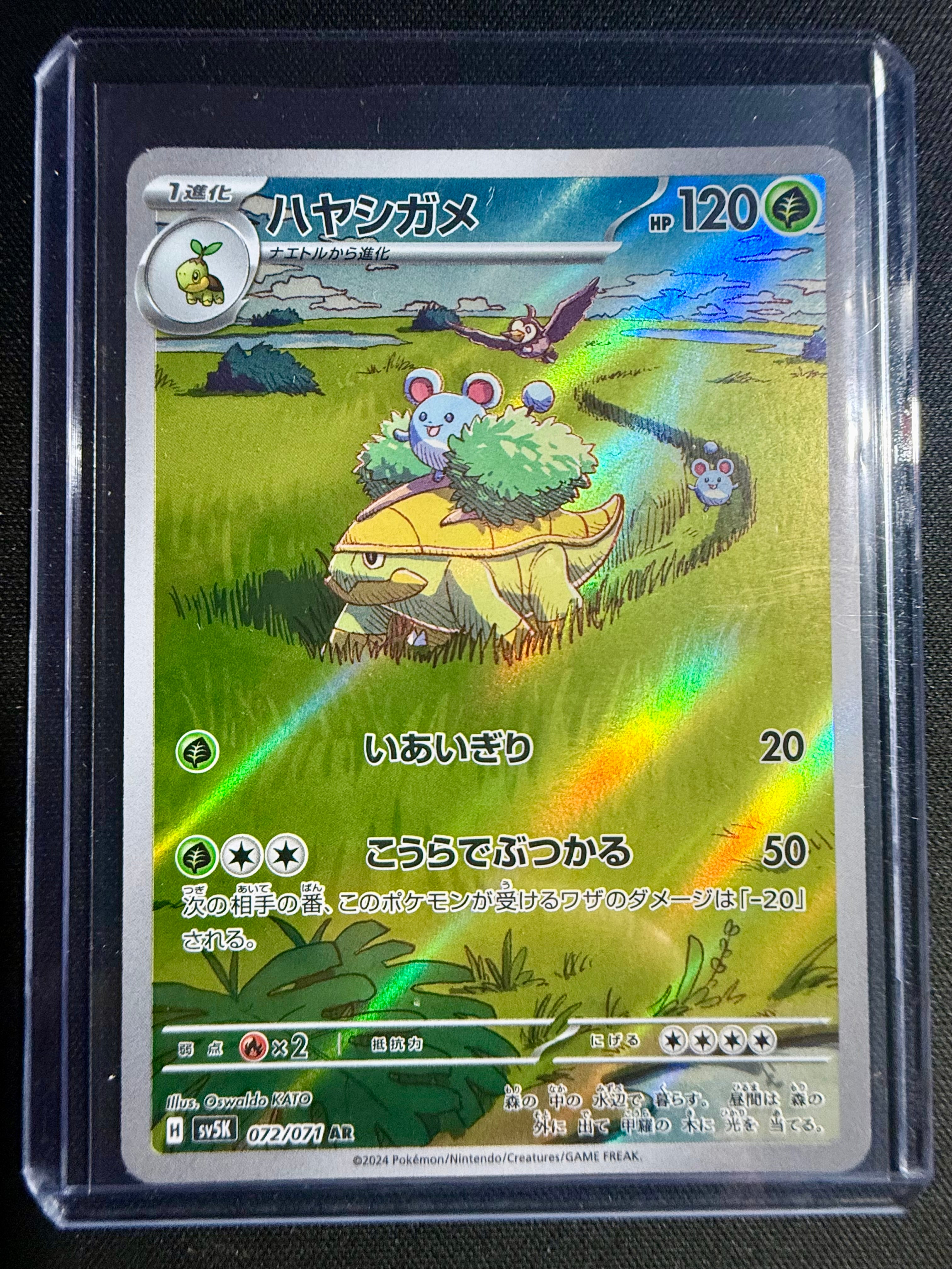Grotle (JP)